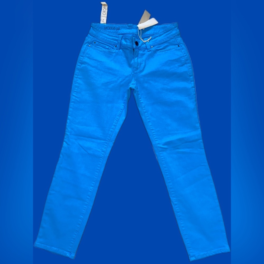 Ann Taylor Women's The Skinny Ankle Modern Fit Jean Size 2